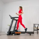 Беговая дорожка SVENSSON BODY LABS BALANCE D