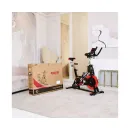 Cпин-байк DFC RANDERS / физический вес маховика 18 кг