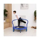 Батут с поручнем DFC Gardenature 36'' синий