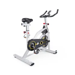 Cпин-байк DFC RAVS White
