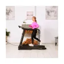 Беговая дорожка DFC CYNOS T175