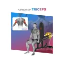 Тренажер для Трицепса DFC D2003A