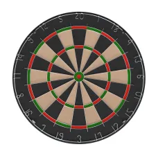 Мишень для дартса DFC SISAL