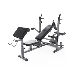 Cкамья силовая DFC GYRONETICS GN008 с партой для бицепса
