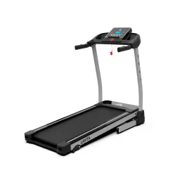 Беговая дорожка DFC LAVITA T350