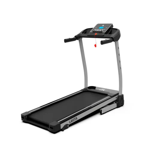 Беговая дорожка DFC LAVITA T350