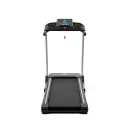 Беговая дорожка DFC LAVITA T350