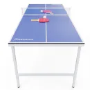Теннисный стол DFC RayChee 60" 150 x 67 см