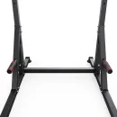 Напольный турник DFC HOMEGYM SC-G719