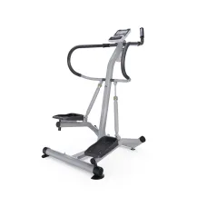 Степпер с поручнями DFC SC-S5901