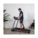 Беговая дорожка DFC SPARKY Pro T635