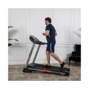 Беговая дорожка DFC SPARKY Pro T635