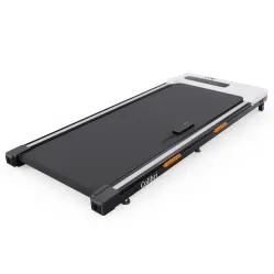 Беговая дорожка DFC Colibri TM100-4