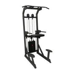 Гравитрон профессиональный BRONZE GYM PARTNER ML-701