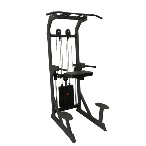 Гравитрон профессиональный BRONZE GYM PARTNER ML-701