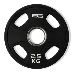 Диск 51 мм Bronze Gym 2,5 кг BGPLP025