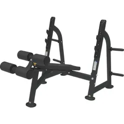 Силовая скамья BRONZE GYM BR-1013