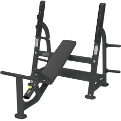 Силовая скамья BRONZE GYM BR-1014