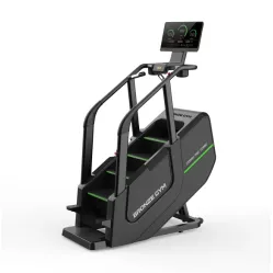 Лестница-эскалатор профессиональная BRONZE GYM C1000M PRO TURBO