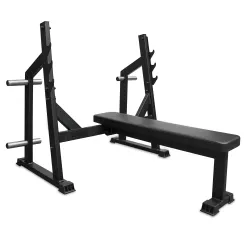 Силовая скамья BRONZE GYM PARTNER AL-304L