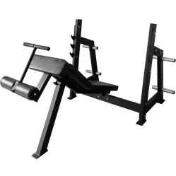 Силовая скамья BRONZE GYM PARTNER AL-306