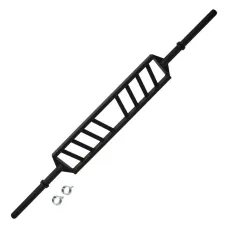 Гриф олимпийский BRONZE GYM BGBRMG25