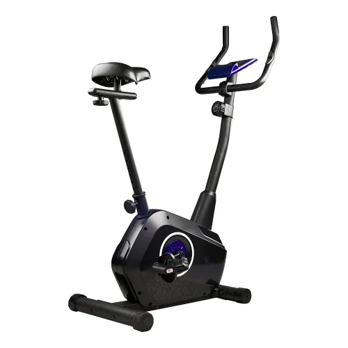 Велотренажер магнитный Royal Fitness, Арт. RFIB-15