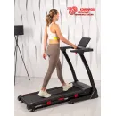 Беговая дорожка Titanium Masters Physiotech A260