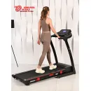 Беговая дорожка Titanium Masters Physiotech A360