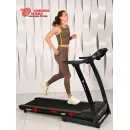 Беговая дорожка Titanium Masters Physiotech A360