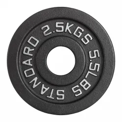 Диск 51 мм чугунный окрашенный 2,5 кг, VictoryFit VF-SC510250